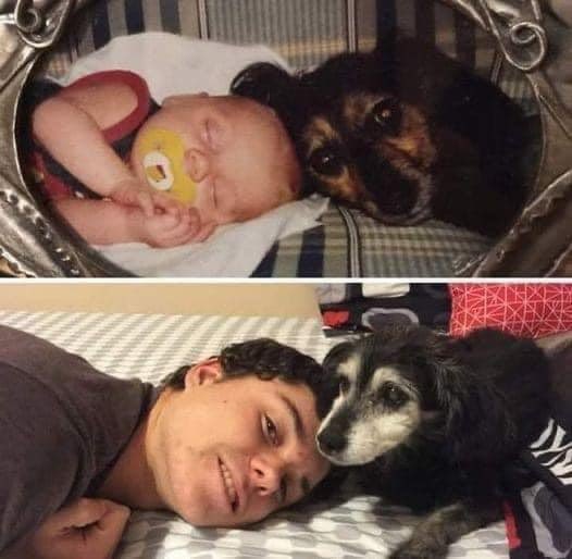 twaniimals's tweet photo. 15 years later and still best friends ￼❤️‍🩹 https://t.co/wK0rp14s7e