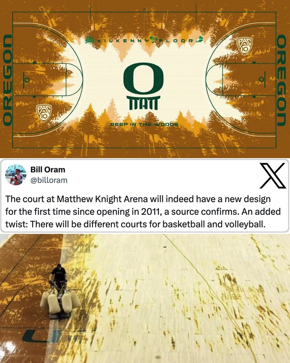 CSOonX's tweet photo. It's official: Oregon's "Deep In The Woods" court is no more. It was a cool concept but brutal to watch Ducks games on TV. 🌲 (via @billoram) https://t.co/v4PELMkIn1