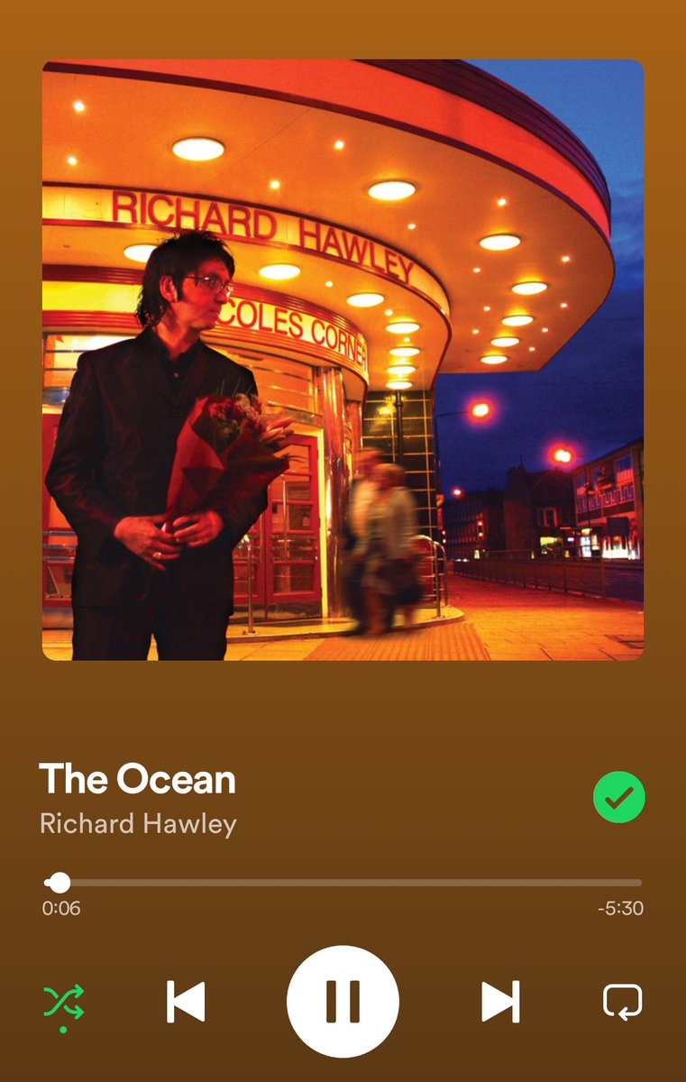 Richard Hawley only ever makes things better. I could listen to him play the spoons. Coles Corner is a magnificent album amongst many.
