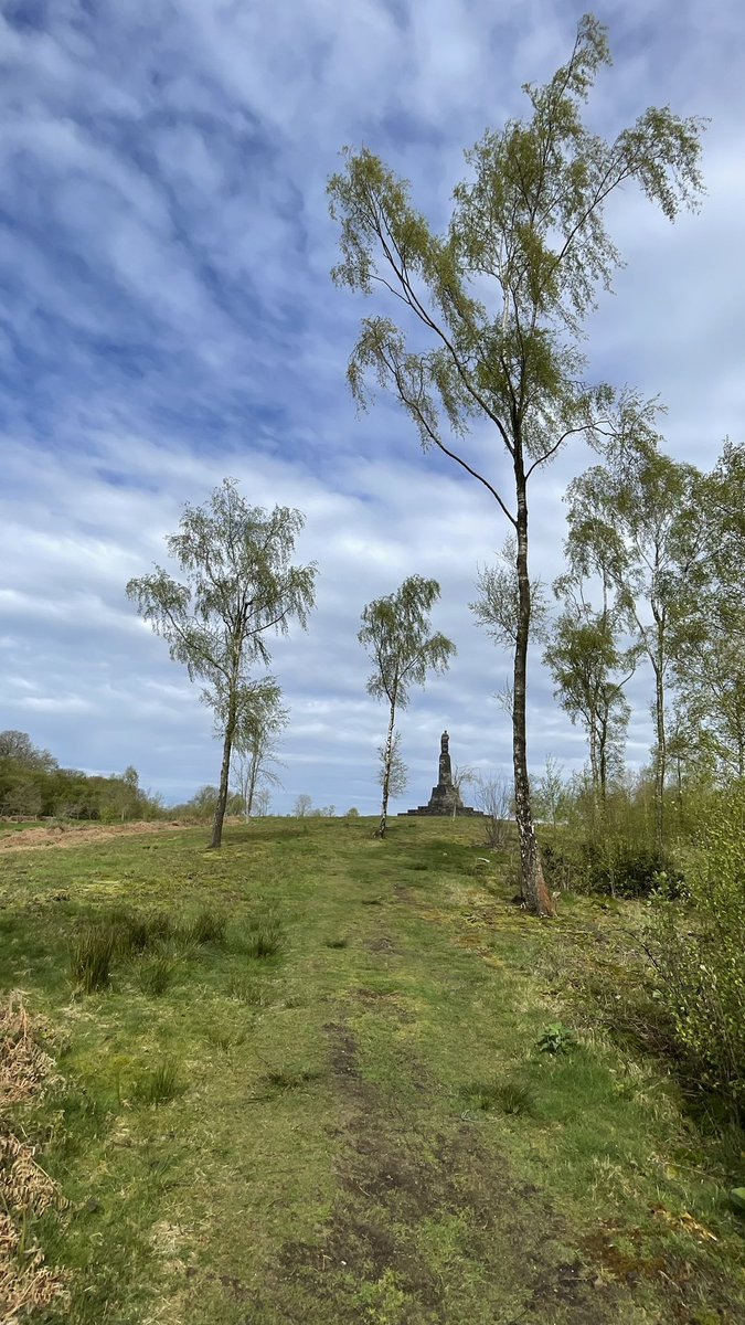 #2 If you look carefully you can just make out the monument, left of the tree in field on the horizon, kept well over to the left here, just made it, Flyn waiting at the gate and lastly nearly there 🦮🚶🏻🌤️ #walk1000mikes