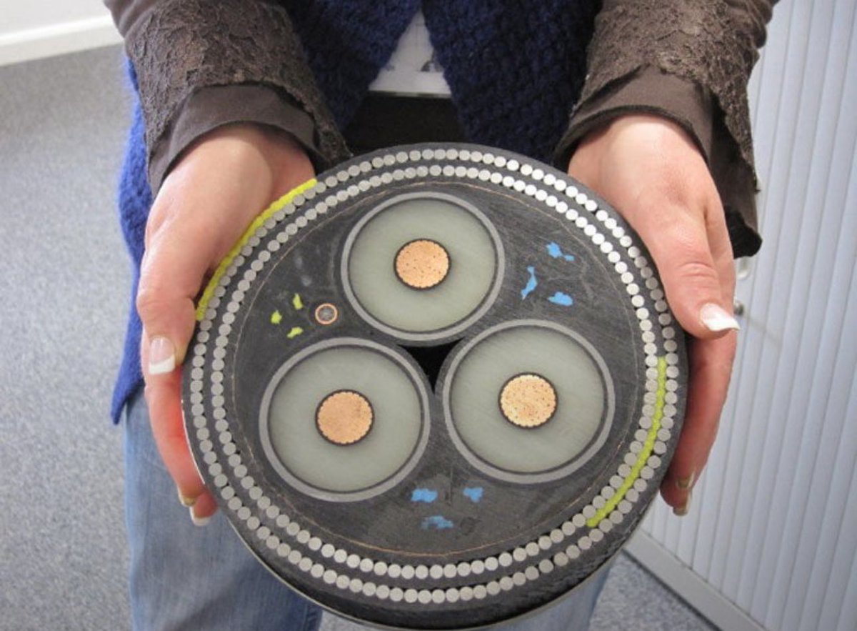 @historyinmemes This is what a cross section of an underwater cable there looks like