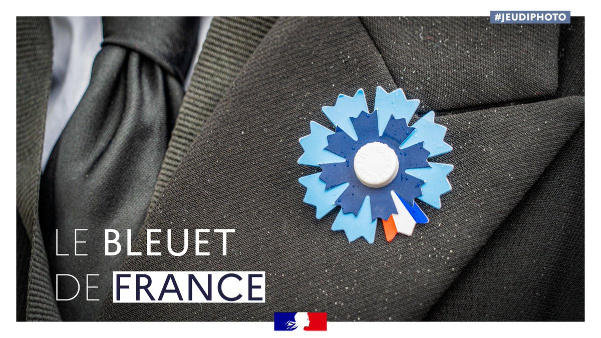 #JeudiPhoto 🔵 Depuis 1925, le #BleuetdeFrance aide ceux qui restent : les militaires blessés, les pupilles de la Nation, les victimes de guerre et du terrorisme. 🪻 Pourquoi avoir choisi le bleuet comme symbole ? Car il s’agissait d’une des seules fleurs qui poussaient dans la