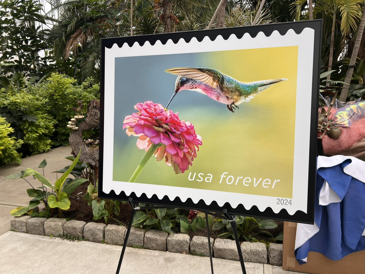How cool is this - Providence Postmaster Jeanne Jackson dedicated the @USPS Garden Delights Forever stamps to the @RWPBotanicalCtr, recognizing it as a “hidden treasure” in the community 🌸🪷 #GoPVD