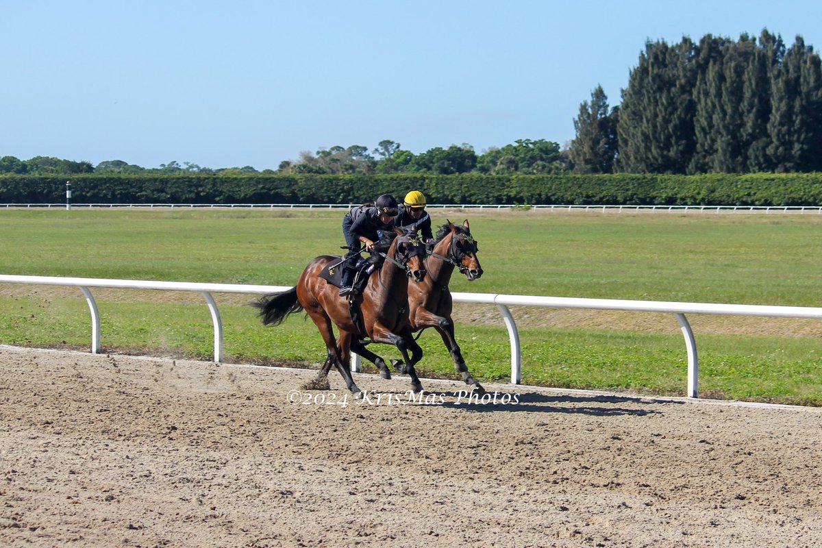 KrisMasPhotos's tweet photo. #wesleywardracing #paysonpark #KrisMasPhotos https://t.co/ReVFwFq2g6