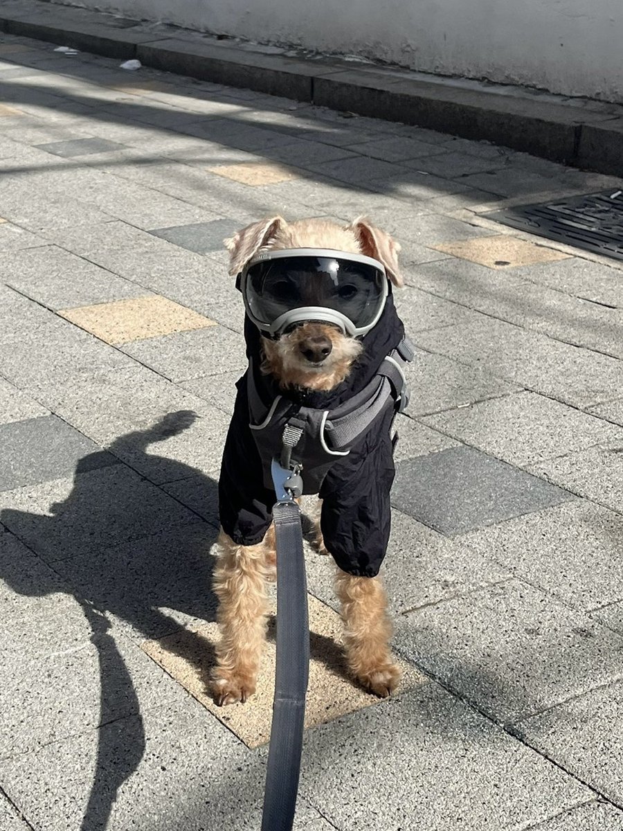 RAD_univ's tweet image. ㅋㅋㅋㅋ 어쭈구리 ㅋㅋㅋ