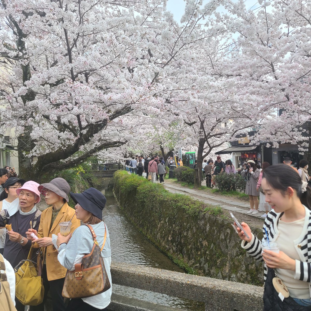 GoWithGuide's tweet image. Where in the world is #gowithguide today? We’re in #kyoto with expert guide &amp;amp; nature and outdoor lover Kanae O. &amp;amp; traveler Corey W. whose tour was a “Fantastic Kyoto Intro”. Photo Credits: Corey W. (traveler) &amp;amp; Kanae O. (tour guide) check her out here! gowithguide.com/supplier/46547