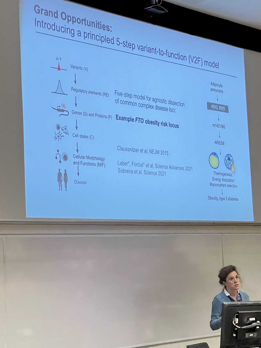 PalRNjolstad's tweet image. Splendid talk by Prof Melina Claussnitzer on likinking gene signals to disease biology #sggdofexeter ⁦@medofak_uib⁩ ⁦@haukeland_no⁩ #PRECISE-DIA