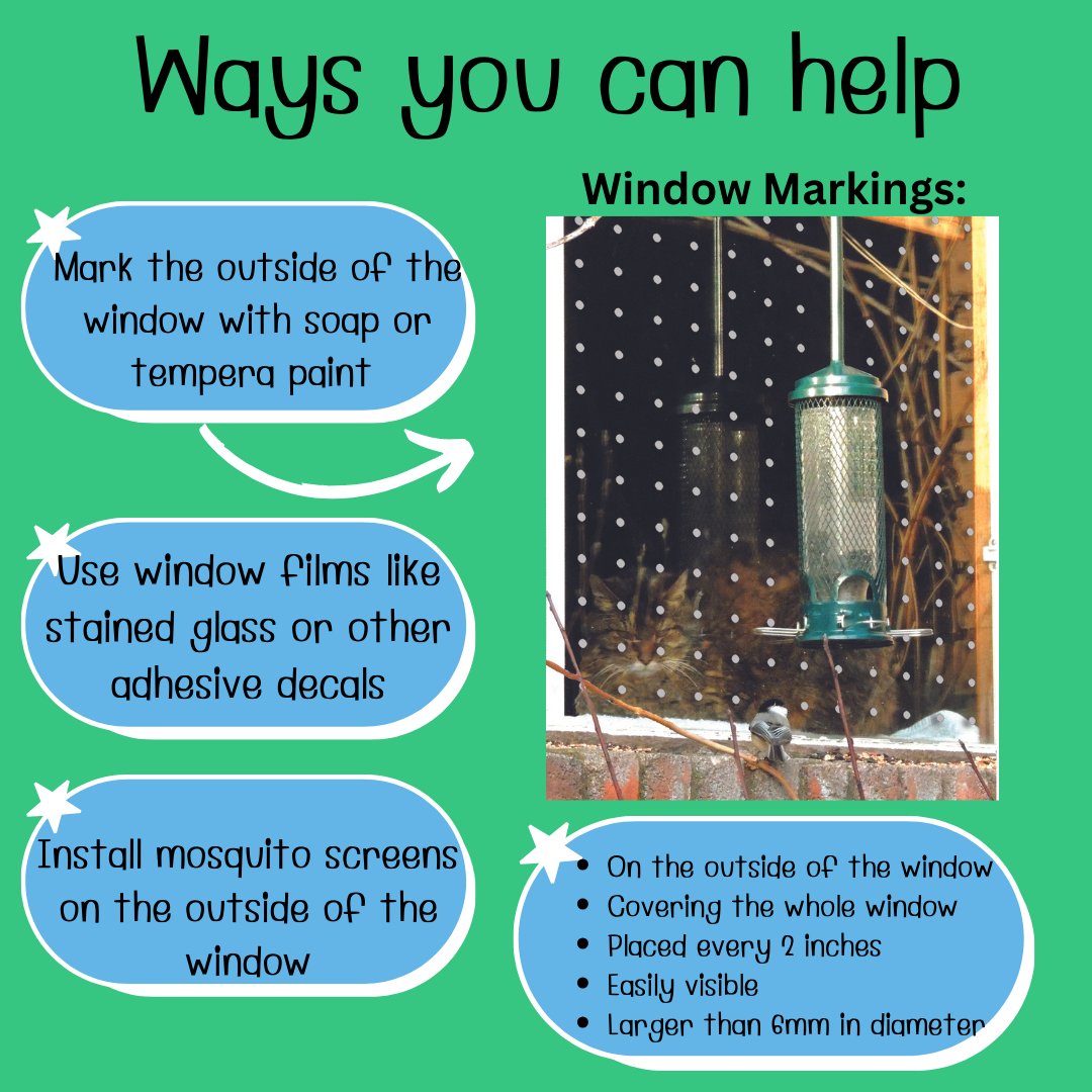 secondmarsh's tweet image. Did you know that every year in Canada as many as 16 to 42 million birds are injured or killed by flying into glass windows? Learn more from our posters. 
#EarthMonth #FightClimateChange #LoveTheMarsh #Oshawa #SecondMarsh #NaturalHeritage #CulturalHeritage #OntarioWetlands