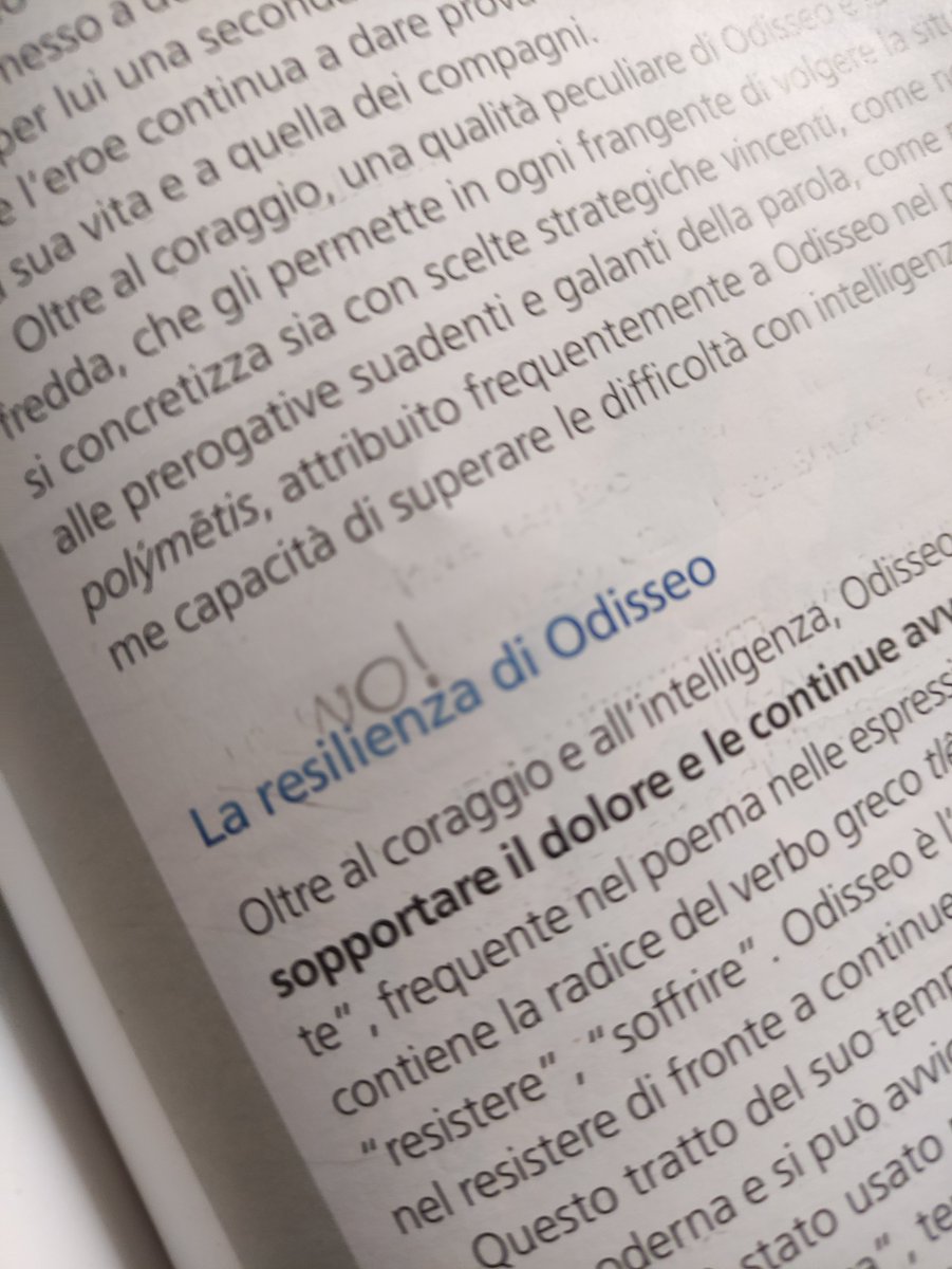 Chiediamo al Parlamento che l'uso di 'resilienza' al posto di 'resistenza' diventi un reato perseguibile.