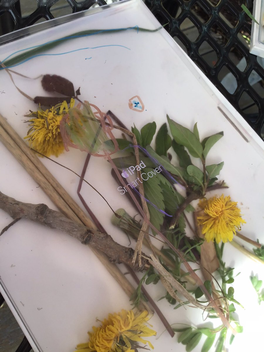 JBrentECE's tweet photo. W: Where’s the blue? I need it to make the robin eggs. See? Here’s the nest. Two eggs 🪺.
#4FrameBC https://t.co/8SsiCQArFn