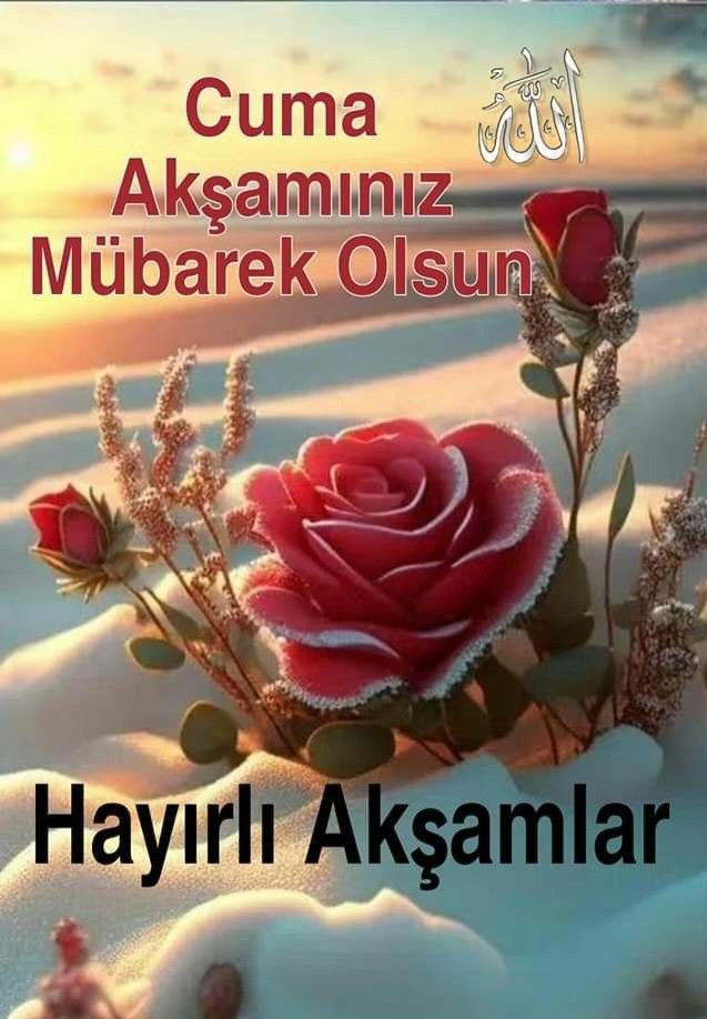 SELÂMÜN ALEYKÜM🥀

HAYIRLI AKŞAMLAR🦋

Mrhb güzel dostlarım🐞

Bu mübarek akşamın
Feyzi,Rahmeti,Bereketi,
İhsanı Ailenizin
Sevenlerinizin ve
Sevdiklerinizin Üzerine
Olsun,
Yüzünüz Aydın,Kalbiniz
Nur Olsun İbadetleriniz
Makbul,Duanız.
Kabul Olsun,

CUMA AKŞAMINIZ
MÜBAREK OLSUN🌹