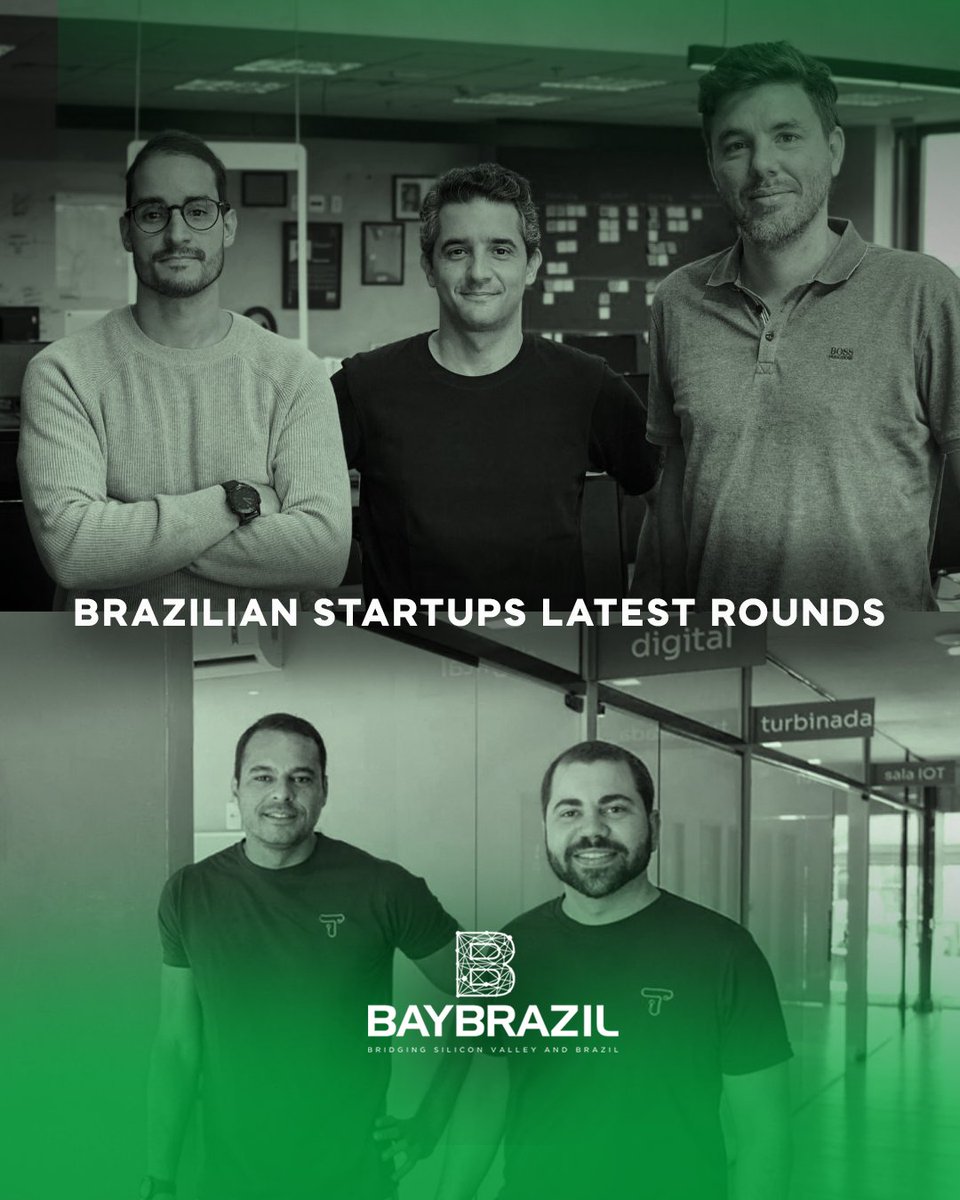 BayBrazil tweet media