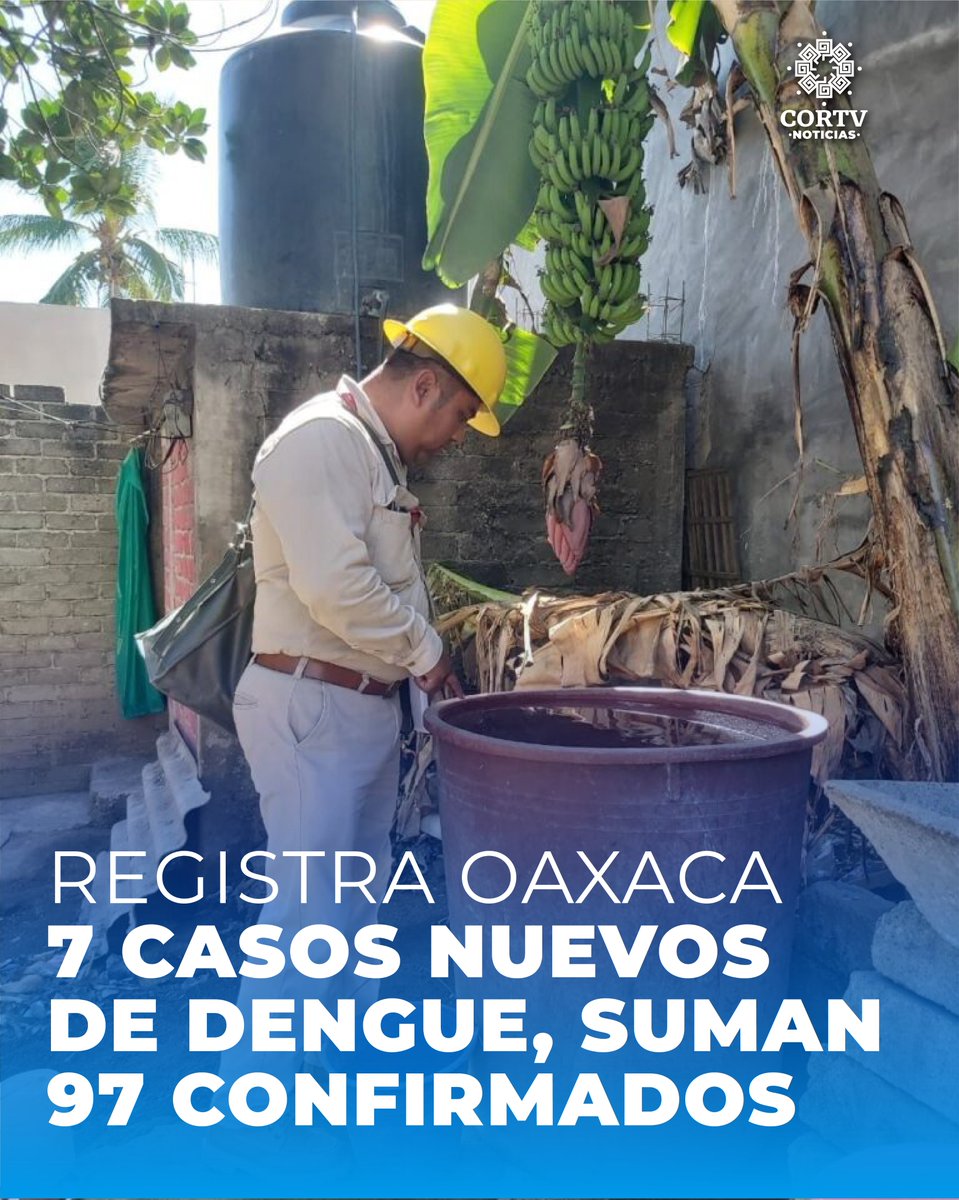 Hasta la semana epidemiológica número 15, se han regitrado 97 casos confirmados de #Dengue. Del total, 19 son Dengue No Grave, nueve corresponden a Dengue Grave y 69 a Dengue con Signos de Alarma. @SSO_GobOax