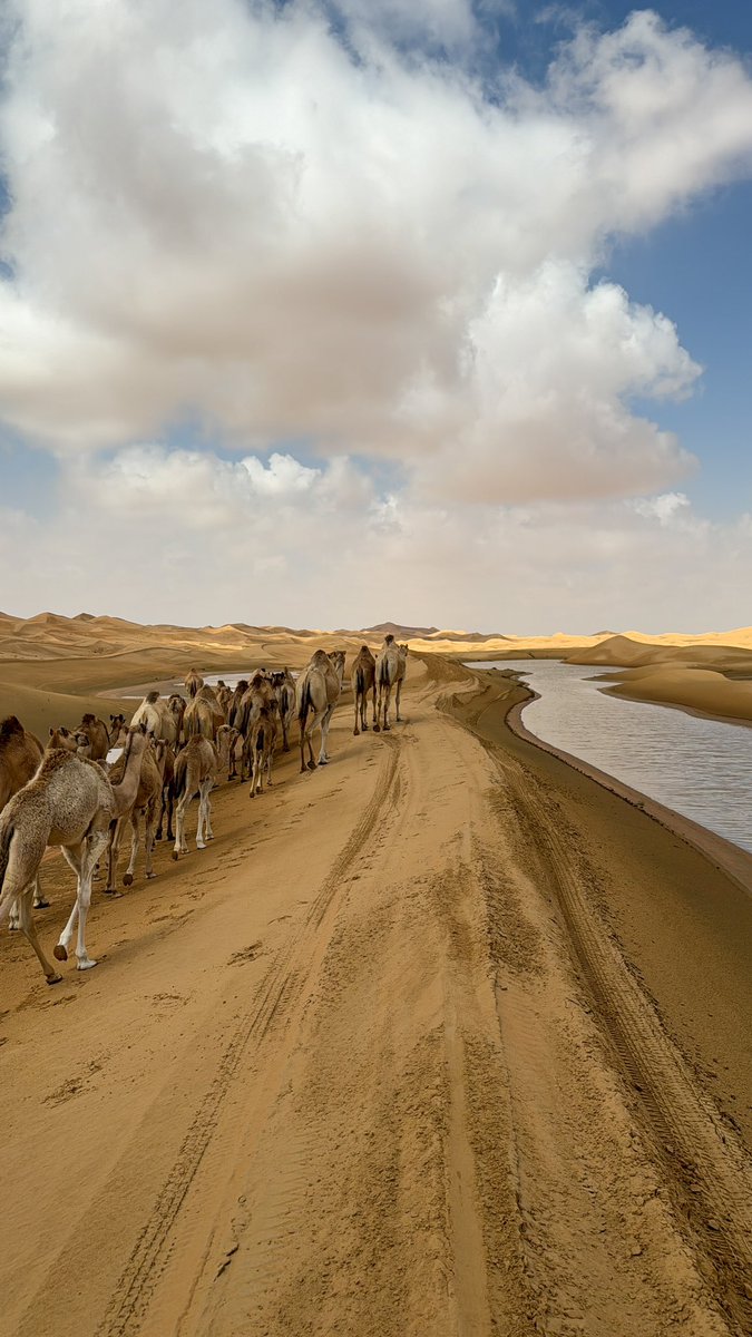_nkk91's tweet photo. معاكم المصوره شخصياً🫶🏼 https://t.co/QkrxDZec22