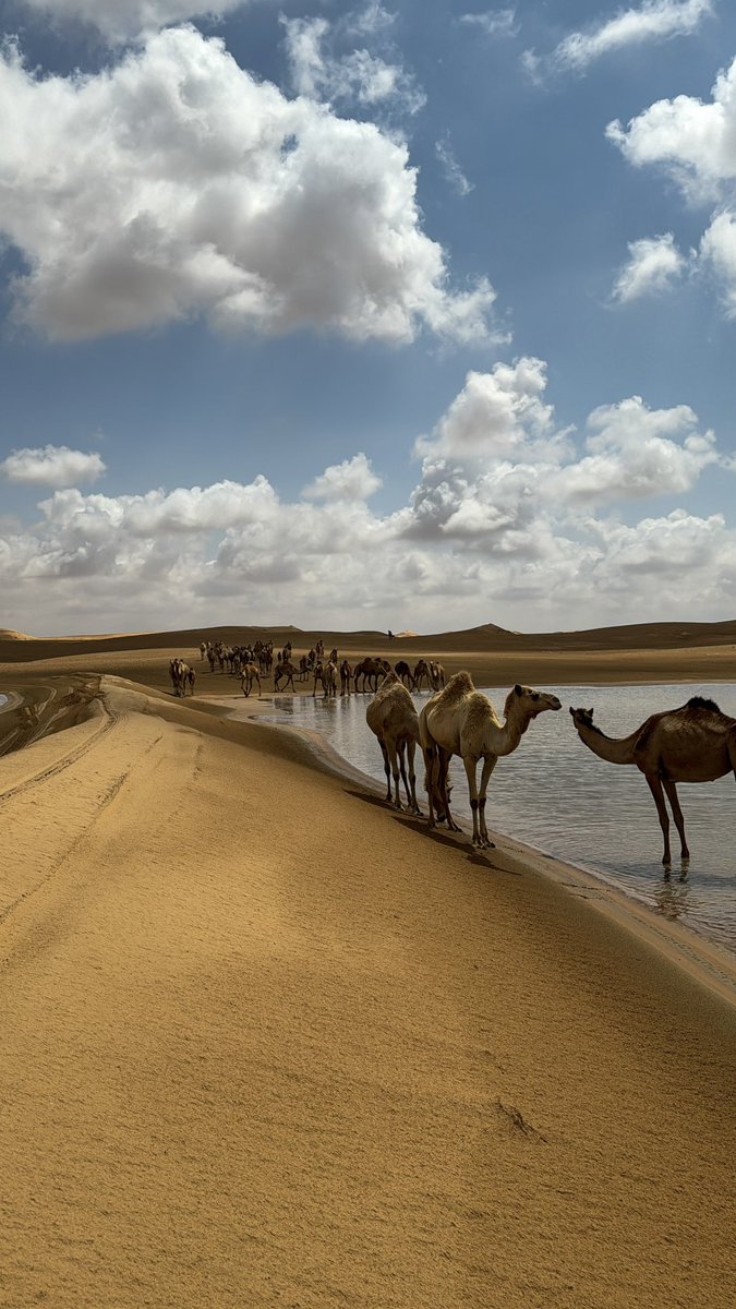 _nkk91's tweet photo. معاكم المصوره شخصياً🫶🏼 https://t.co/QkrxDZec22