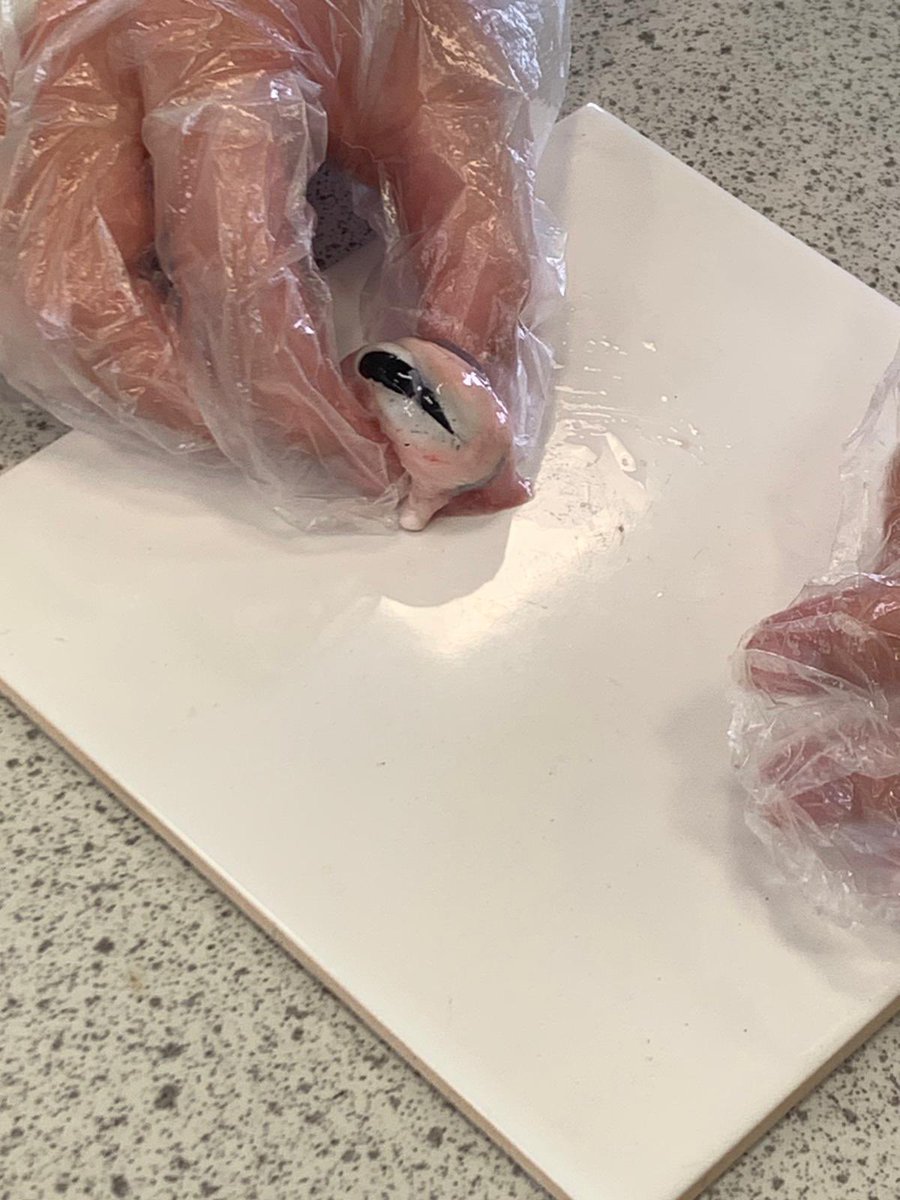 OAFScience tweet media