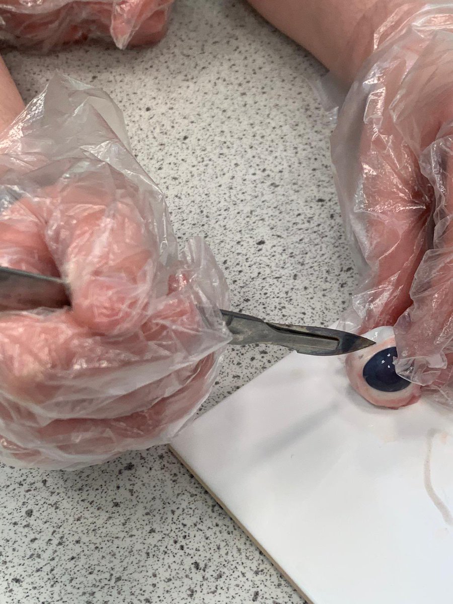 OAFScience tweet media