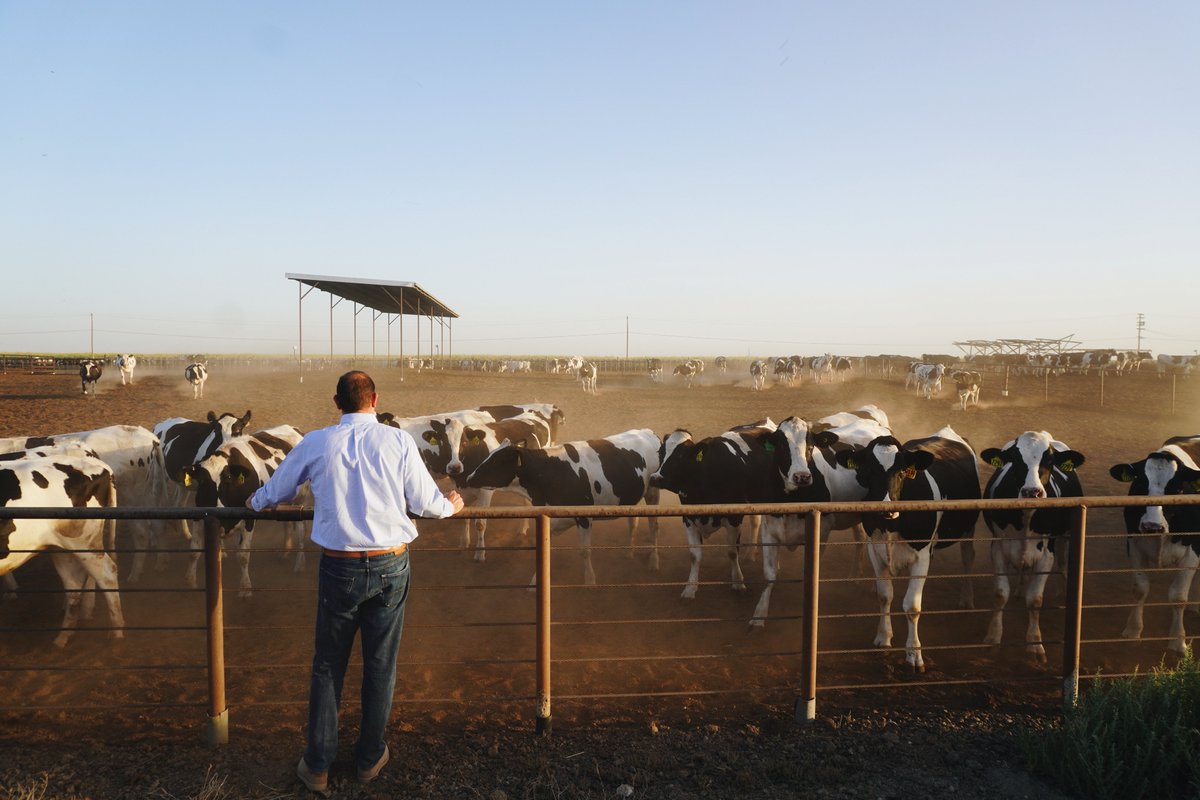 We thank @RepDavidValadao for advocating on behalf of California #dairy farmers during today’s @HouseAppropsGOP hearing for @US_FDA to expeditiously authorize innovative feed ingredients that can help producers reduce enteric methane emissions.