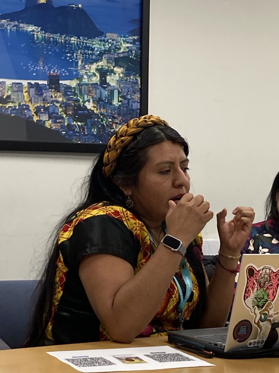 “When we think about food security, the most important thing we can do is invest in local food systems” - ⁦@tania_eulalia⁩ at #UNPFII2024 ⁦@UN4Indigenous⁩ ⁦@landislife⁩ ⁦@HakiNawiri⁩ ⁦@hindououmar⁩ ⁦⁩ ⁦@DMejia20⁩ ⁦@Lcastanedaq⁩