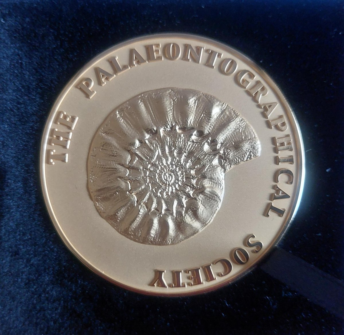 Very grateful to the @Palaeonto_Soc for awarding me their biennial medal in recognition of my contributions to taxonomic and systematic palaeontology. My thanks go to all those who put me forward for this honour.