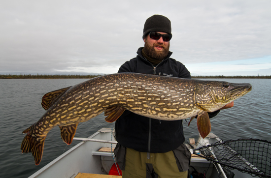 Spring is prime time for pike! Here are some programs for big spring pike via In-Fisherman: bit.ly/49pQrky

#FindYourAdventure #fishing #fish #pike #pikefishing #northernpike #bigpike #bigfish