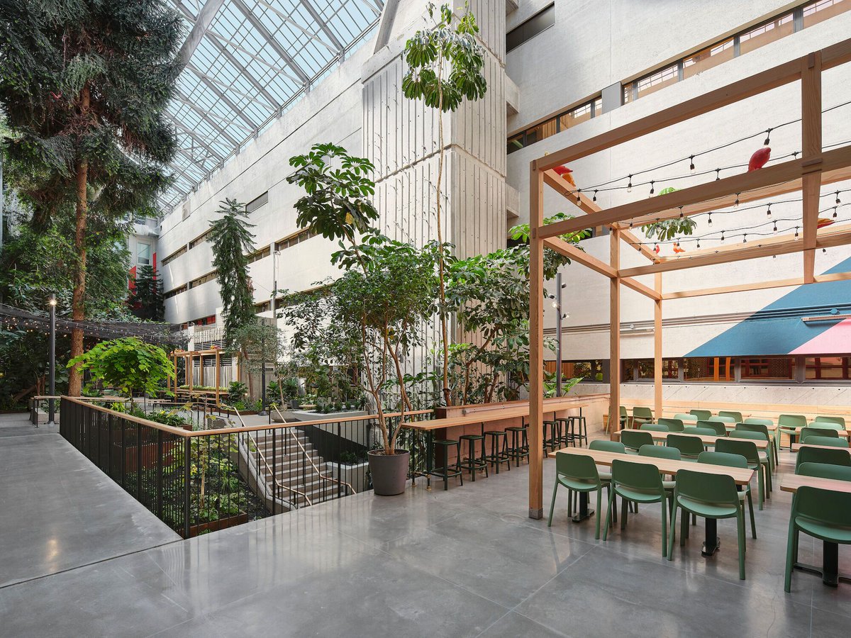 Archello's tweet photo. Collège de Maisonneuve - Interior Garden
by Taktik Design
https://t.co/jtZjE9wZIi 

Photo: Maxime Brouillet https://t.co/8xmkAVOi1L