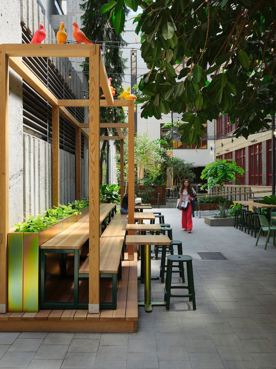 Archello's tweet photo. Collège de Maisonneuve - Interior Garden
by Taktik Design
https://t.co/jtZjE9wZIi 

Photo: Maxime Brouillet https://t.co/8xmkAVOi1L