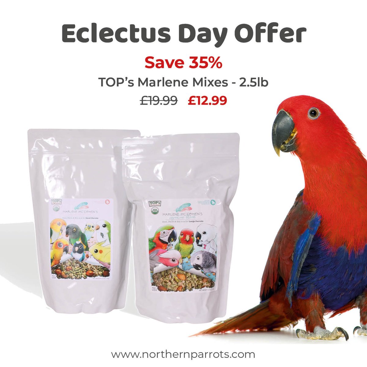 NorthernParrots's tweet photo. A brilliant 35% off for #EclectusDay. https://t.co/2dv2nOxT9s https://t.co/HxICkWJ9Ec