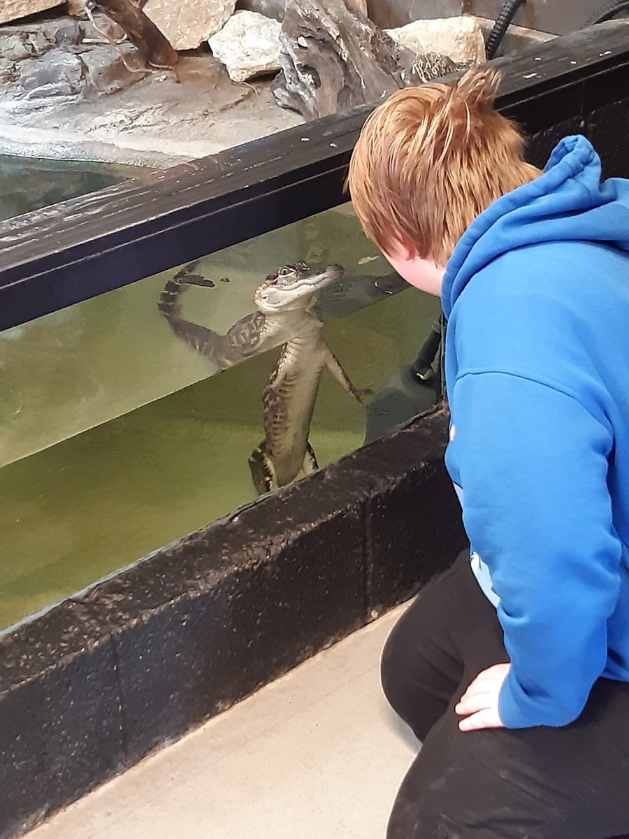 The residents from Paradise House had fun this week visiting Crocodiles of The World in Brize Norton. They learnt about the different species of Crocodile and conservation 🐊