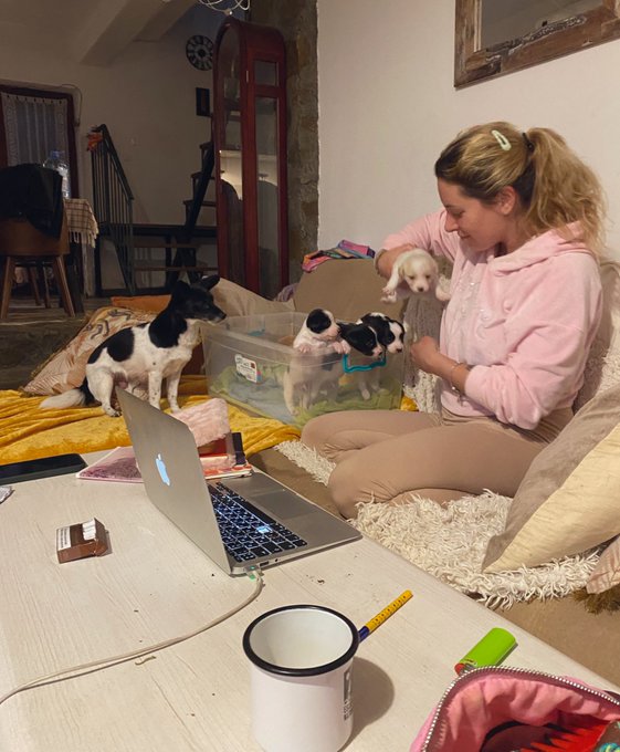 Home 🐣🥰 https://t.co/ddNvDQUZaP