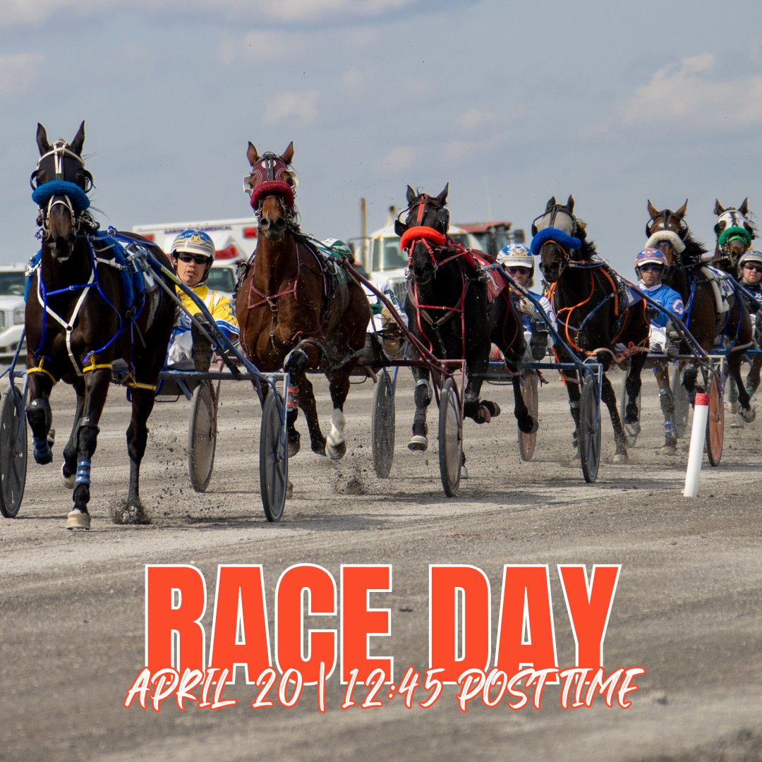 Join us for Saturday races & @albertastandardbredracing Fan Appreciation Day! We'll have chances to win some prizes & chances for you to ride in the starting gate! See you on Saturday! 🏇 #CenturyRacing #Standardbred #HarnessRacing #FanAppreciation