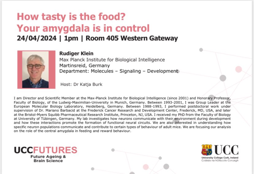 We are delighted to welcome Prof.  Rüdiger Klein, Max Planck Institute for Biological Intelligence, Martinsried, Munich to @bioucc & @AnatNeuroUCC Under Future Ageing and Brain Science to discuss: How tasty is the food? Your amygdala is in control! ALL ARE WELCOME! 24 April 1pm