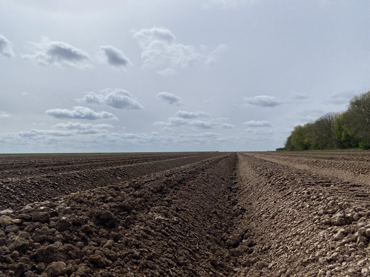 ED&F Man Agronomy tweet media