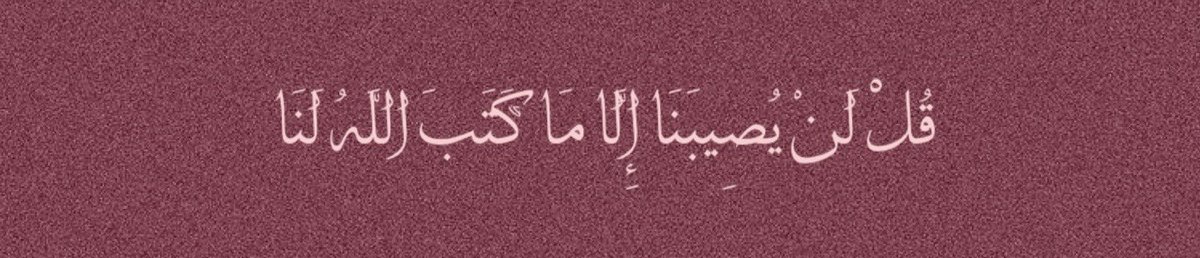 مشكلة | نصيحة tweet media