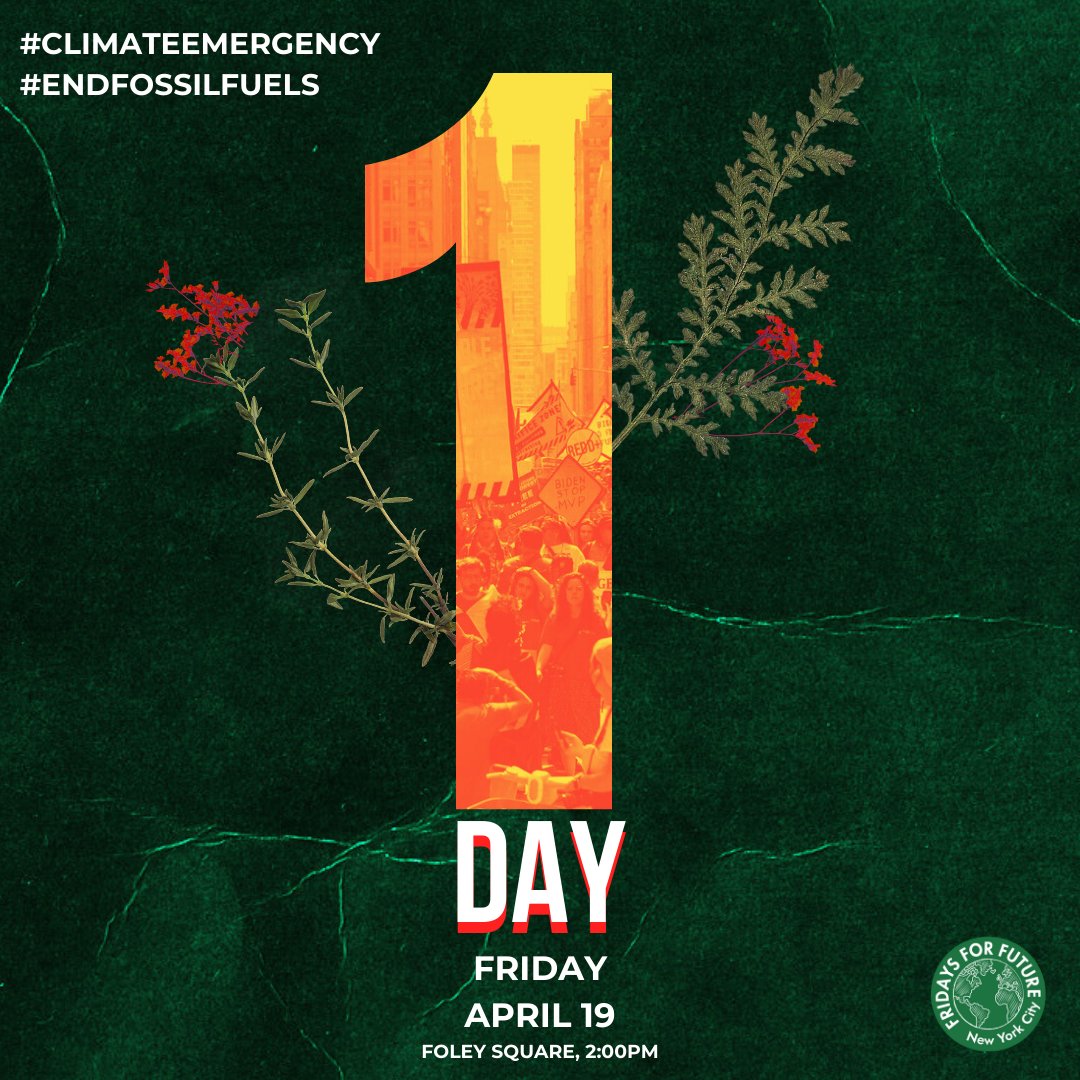 Our streets are flooding, our skies are turning orange, and our future is disappearing. It’s time to #EndFossilFuels. Join us and @fff_nyc_ in NYC TOMORROW to demand that @POTUS declare a #ClimateEmergency. RSVP @ bit.ly/climatestrike2…