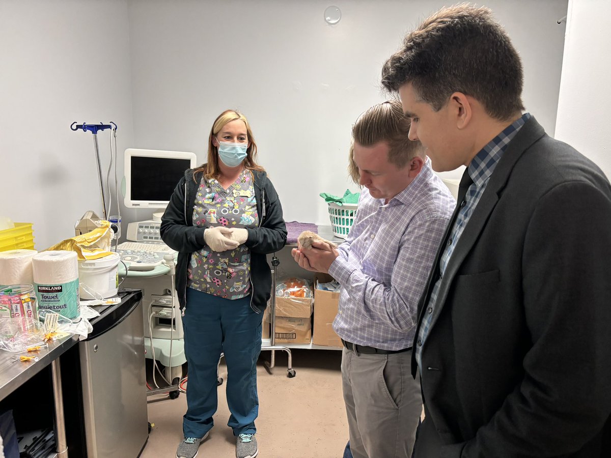 Graham McGregor tweet media