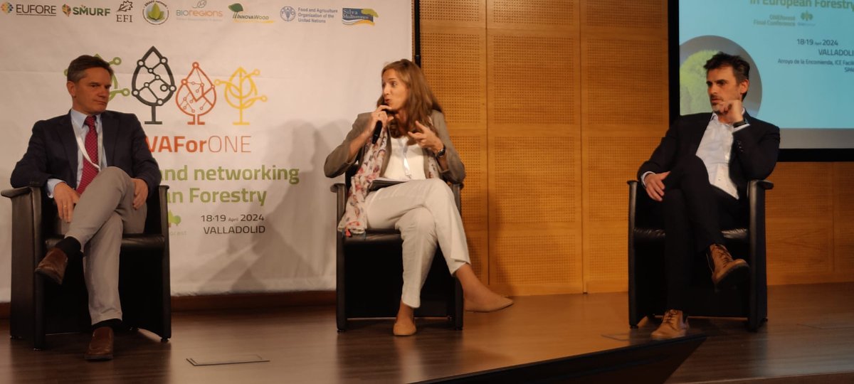 FCesefor's tweet photo. @psabingalan @aranmontes @AspapelOficial @Xunta @aranmontes de @AspapelOficial afirma que "la industria está concienciada pero necesita tiempo para poder aplicar la legislación". #INNOVAForONE #InnovacionForestal #PolíticaForestal #ForestryPolicy https://t.co/7IpZVel073