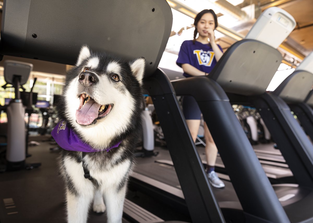 Today is #NationalExerciseDay! If you need some encouragement to get out there, @CindyLinMD says that as little as 10 minutes of exercise is a great place to start. Read more in @UWMedicine's Right as Rain: rightasrain.uwmedicine.org/exercise/how-m…