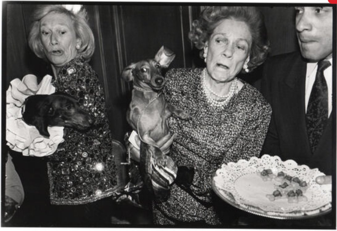 Melhor foto da alta sociedade de todos os tempos:

Iris Love’s and Brooke Astor’s dachshunds fighting over canapés at a party in Manhattan, 1990