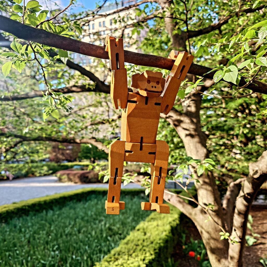 'Just monkeying around on a tree, soaking up the sunshine on this beautiful day! 🌞🐒 #SunnyVibes #TreeLife' #Morphits #monkey #woodentoys #woodenpuzzle #gramercypark #moma #yoshiakiito #Transformation #travel