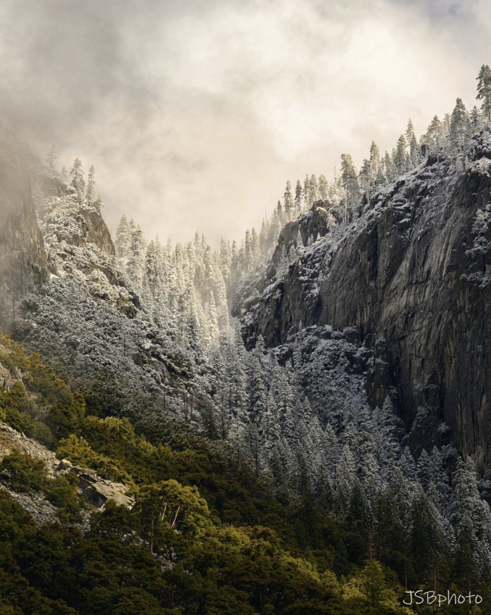 Will it rain or will it snow? April's forecasts have continued to flip flop between wintry mixes and sunny spring days so our #PhotoOfTheMonth by @jsbphoto on Instagram captures the interplay between the two seasons.