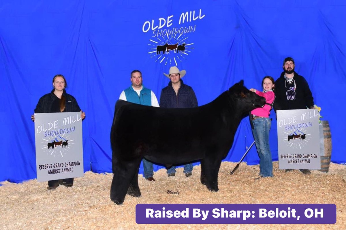mattlautner's tweet photo. #Upcomimg #SpringSale #GregSharp #Beloit #Ohio
Greg Sharp : Beloit, Ohio
Located East Of Akron
Tele: (330) 206-5417
-Spring Born Calf Pasture Sale
-Date: May 5, 2024
-National Show Winners Sold Annually
“One Of The Top Breeders In The USA, Delivering Nationwide Performance At A Comparably More Economical Price Point Than Other Western Titan Breeders”
#WatchForFutureUpdates #FromSharpSpringOffering #HereOnMLCSocialMedia