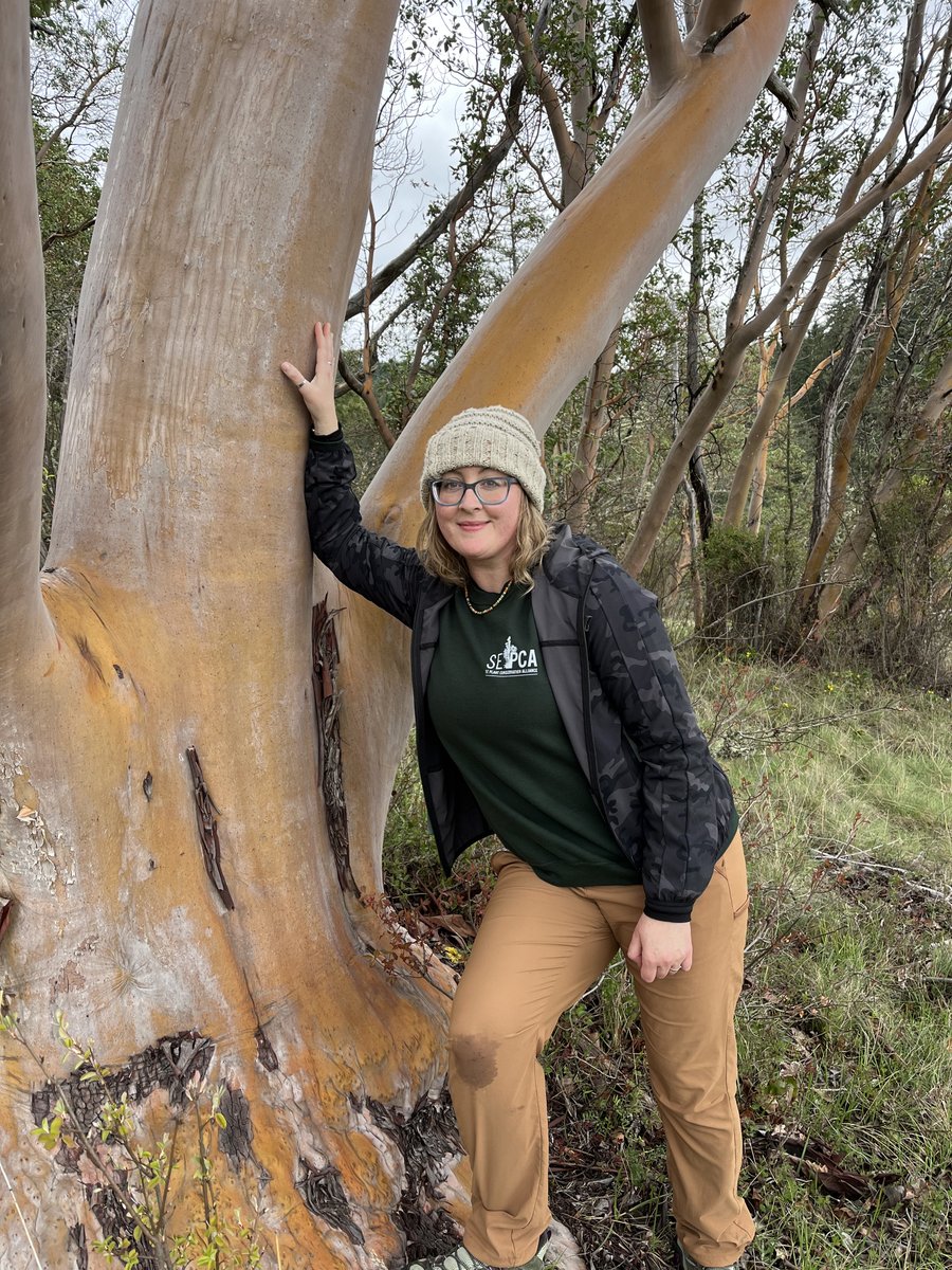 Last week, SE PCA Coordinator Carrie attended @NatureServe's Biodiversity Without Boundaries Conference. Carrie shared about ex situ conservation &amp; attended a field trip at a natural area. Sights included Fairy Slipper (Calypso bulbosa) and Chocolate lily (Fritillaria affinis)😍
