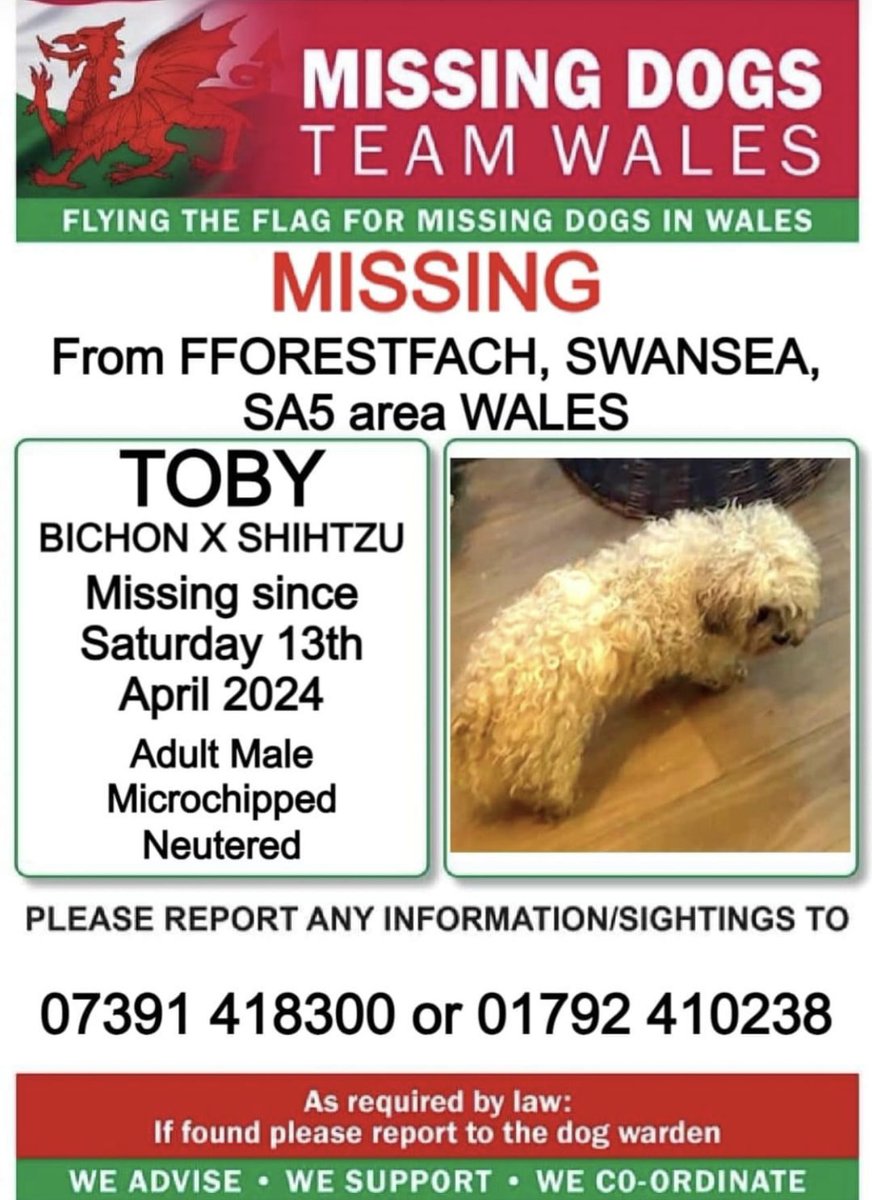 missingdogwales's tweet photo. ‼️TOBY HAS BEEN MISSING SINCE SATURDAY 13th APRIL
FROM STATION RD #FFORESTFACH AREA #SWANSEA #SA5 #WALES
💥HAS ANYONE PICKED HIM UP THINKING A STRAY ? 💥
Toby is MICROCHIPPED so please take him to any vets if found ! https://t.co/hxeDxwX7Fg