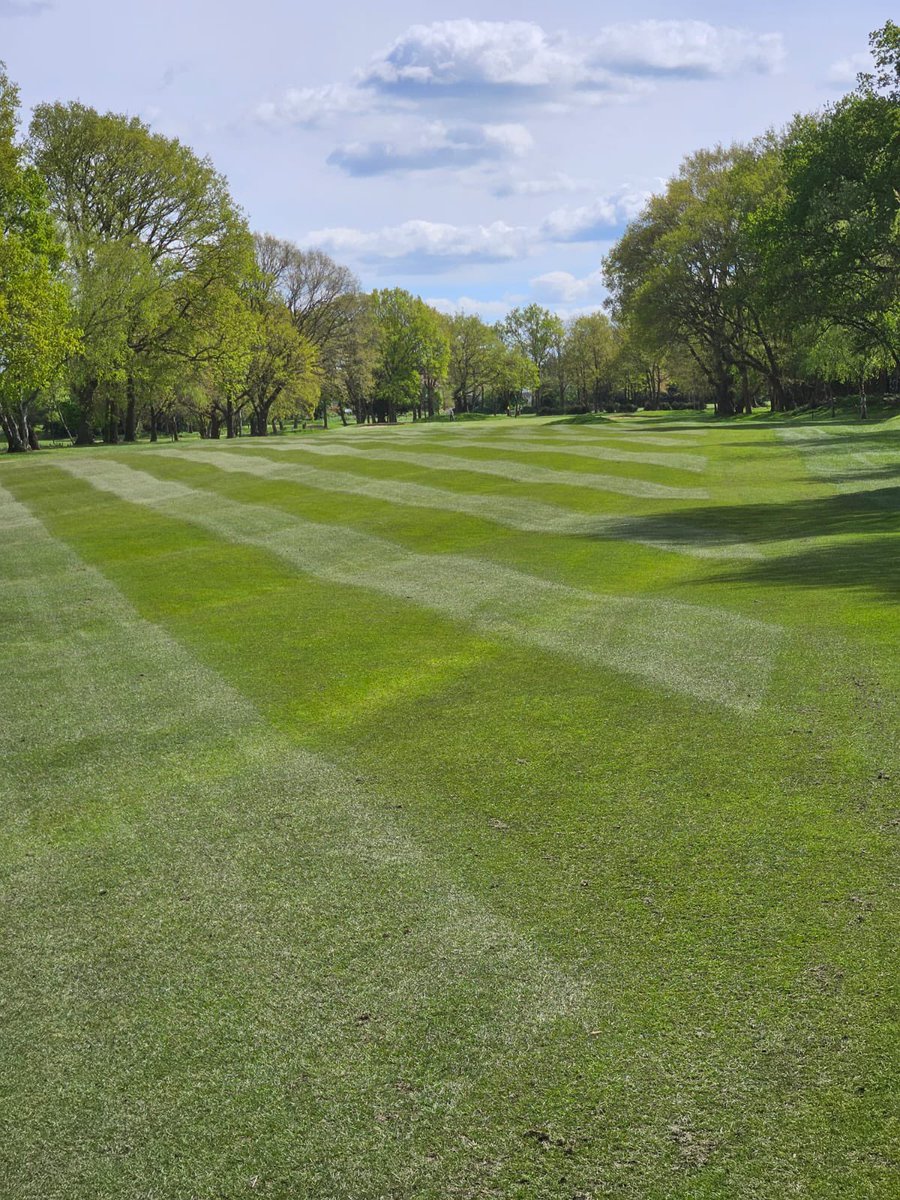 Wayne Aris tweet media