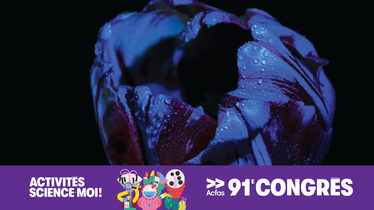 Une nuit dans les tulipes – Que peut nous dévoiler une nuit étoilée ? 🌷🌃✨

Découvrez le Festival canadien des tulipes sous un angle inédit. Guider par des scientifiques, l’invisible de révèlera.

Le mardi 14 mai à 19h00 au parc des Commissionnaires. 🔗bit.ly/4cOd2u0