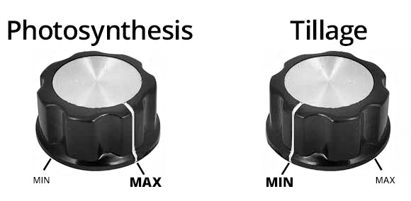 agronomistag's tweet photo. Want to improve your soil microbiology? Minimize your tillage. 
In actual farmed fields, across a region and soil types, reducing tillage had a larger effect than even crop rotation diversity. https://t.co/JtffsPQqzv https://t.co/RkHbUDaulp