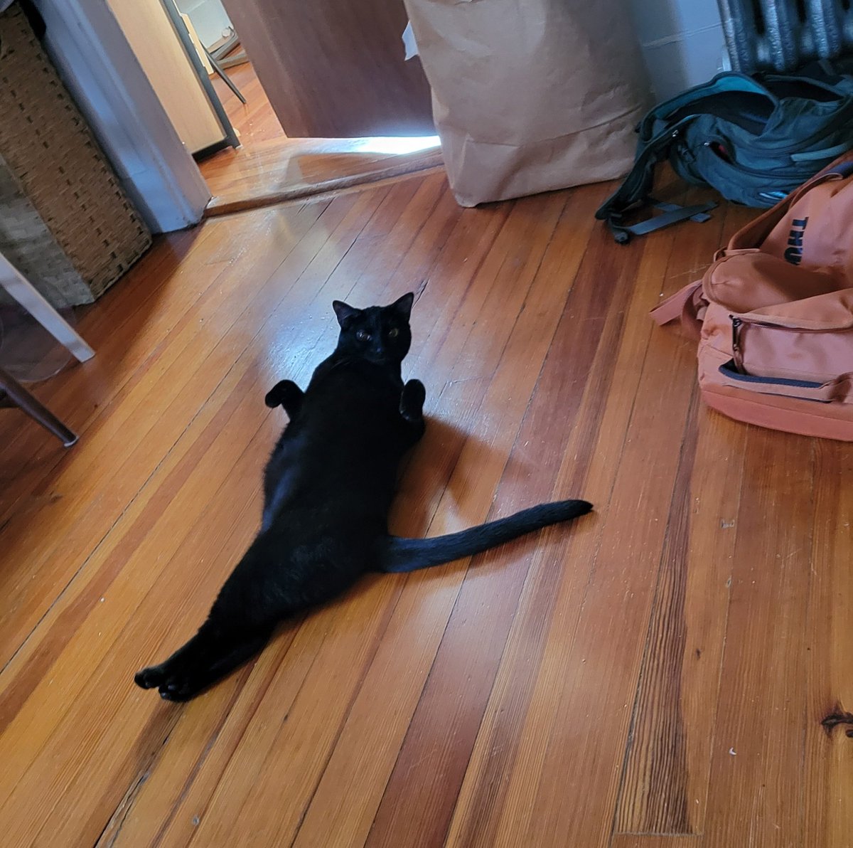 ari (@oooiiooiiooo) on Twitter photo 