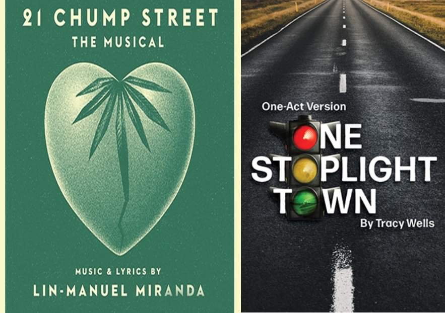 Theatre at WHS presents a One Act Play Festival - Two Shows Each Night!
Thursday, Friday and Saturday, April 25, 26, 27 at 7:00pm. Theatre at WHS presents One Stoplight Town and 21 Chump Street. 
wilmingtonhs.booktix.net