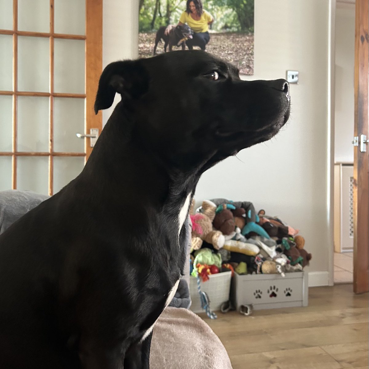 JulesAllenxx's tweet photo. She’s taking photos again #frank https://t.co/m3KlTV55tX
